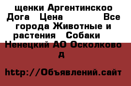 щенки Аргентинскоо Дога › Цена ­ 25 000 - Все города Животные и растения » Собаки   . Ненецкий АО,Осколково д.